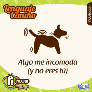 lenguaje canino_6