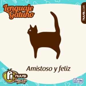 lenguaje corporal de un gato