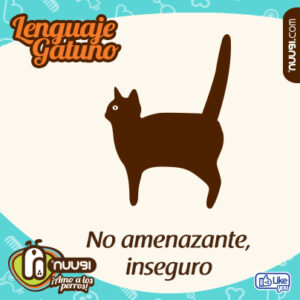 lenguaje gatuno_3