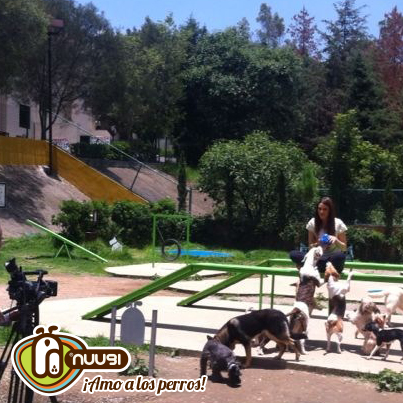 Matutino Express en Nuugi