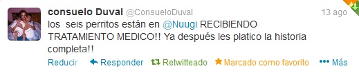 Twitter Consuelo Duval